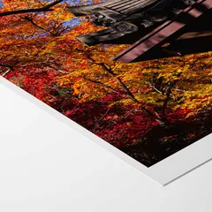 Hahnemühle Photo Canvas detail 3